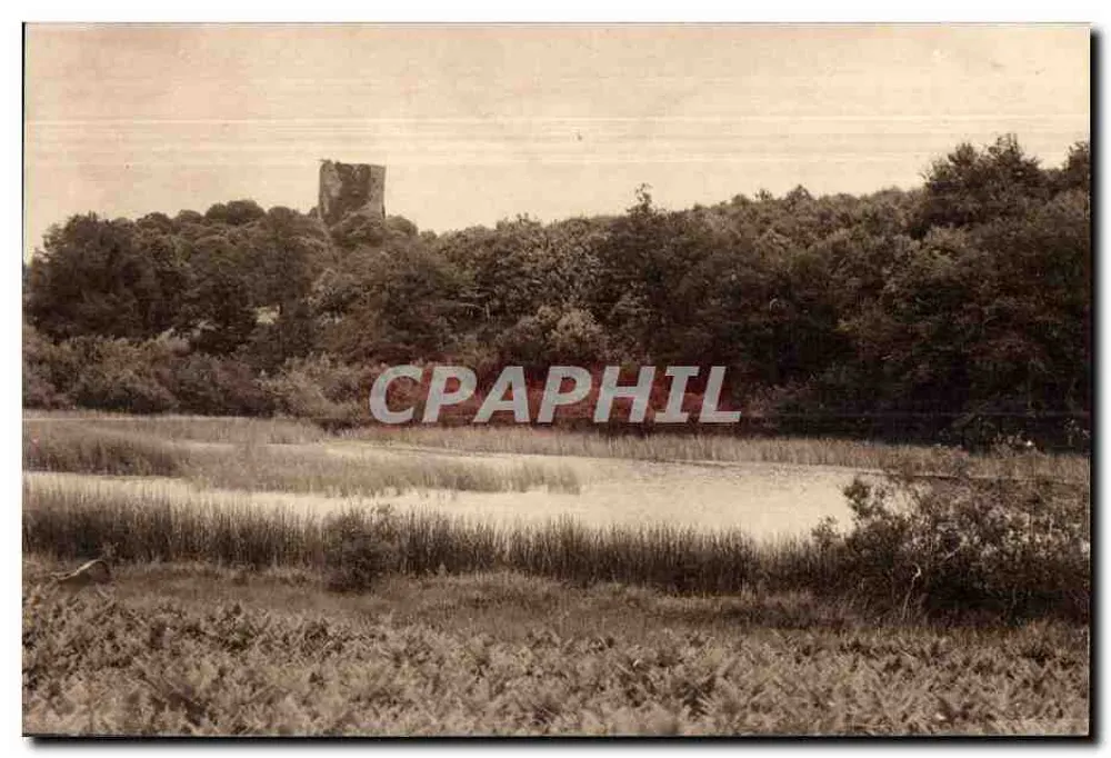 Château de la Motte — Ruinen vor Waldhintergrund — unbekannter Verlag - Vorderseite